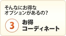 お得なオプションでお得コーディネートをしよう